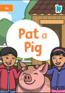 Pat A Pig