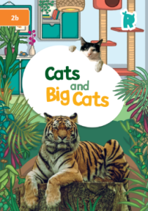 Cats and big Cats