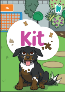 Kit