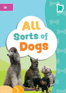 All Sorts of Dogs