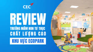 🌱 Top 5 Trường Mầm Non Tư Thục Chất Lượng Cao Tại Ecopark – Review Chi Tiết Cho Phụ Huynh