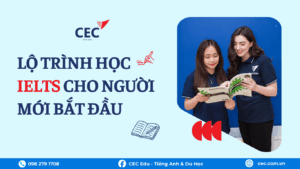 Lộ trình học IELTS cho người mới bắt đầu: Hướng đi đúng để con tiến bộ bền vững