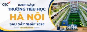 Danh sách trường tiểu học Hà Nội sau sáp nhập 2026: Cập nhật tên trường mới nhất theo phường, xã